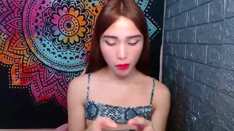 Caulix online show from 26, 1, 2025