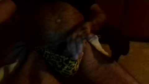 gojo885 online show from 13, 1, 2025