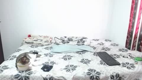 gold_shooter online show from 12, 3, 2026