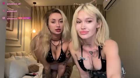 Aline meow   online show from 29, 6, 2026