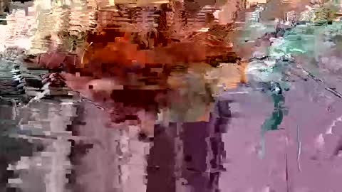 Snapshot of gonadalache chatting on 17, 11, 2025 gonadalache online show from 17, 11, 2025