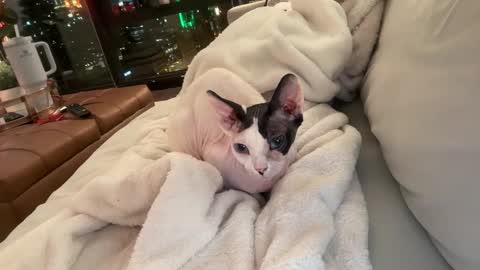 Gracie Mae online show from 23, 12, 2025