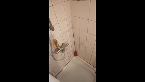 Grakex online show from 22, 4, 2026