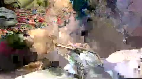 Lisa online show from 7, 1, 2025