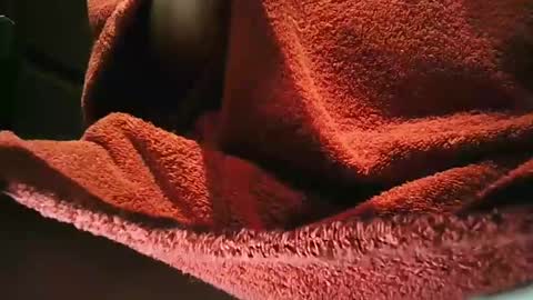 Snapshot of grapefruit chatting on 1, 3, 2025 grapefruit online show from 1, 3, 2025