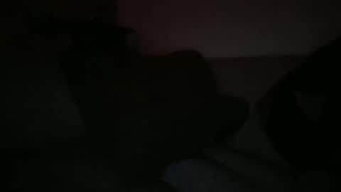 Sonny online show from 7, 3, 2025