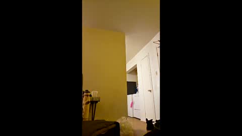 greenvertgo online show from 15, 12, 2025