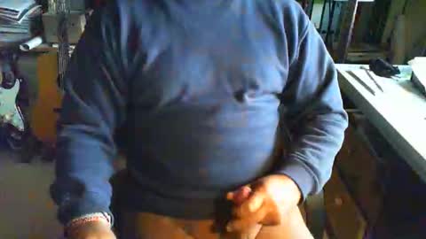 greyhounddog online show from 24, 9, 2025