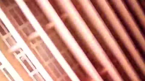 Gu online show from 9, 1, 2025