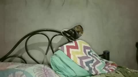 gus7894 online show from 20, 3, 2026