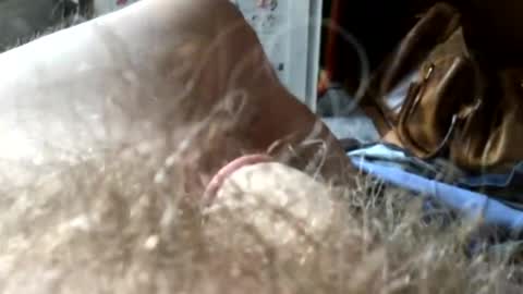 Snapshot of guttersnipe71 chatting on 15, 11, 2025 guttersnipe71 online show from 15, 11, 2025