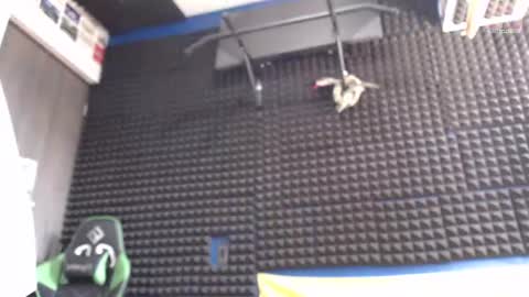 Gymbro42 online show from 7, 8, 2026