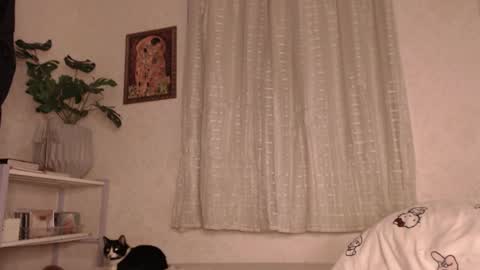 Snapshot of haidyhaven chatting on 11, 6, 2026 haidyhaven online show from 11, 6, 2026