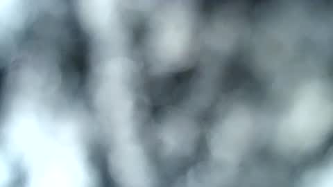 tatted blonde online show from 17, 1, 2025