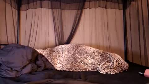 Snapshot of hailwilds chatting on 12, 9, 2025 HailWilds online show from 12, 9, 2025