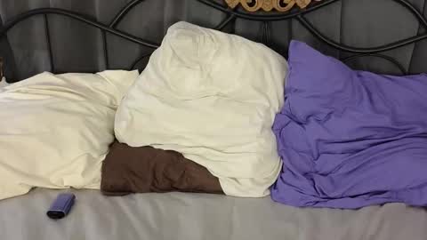 Lylu online show from 3, 2, 2026