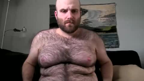 Snapshot of hairiestbear chatting on 17, 2, 2025 Hairiest Bear online show from 17, 2, 2025