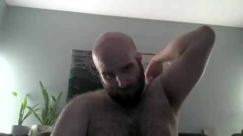 Snapshot of hairiestbear chatting on 1, 4, 2026 Hairiest Bear online show from 1, 4, 2026