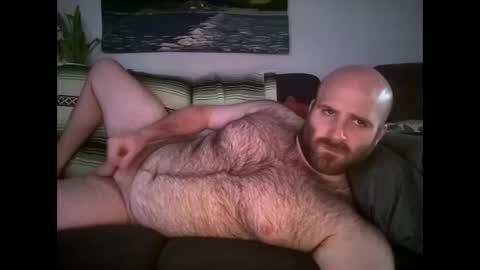 Snapshot of hairiestbear chatting on 22, 4, 2026 Hairiest Bear online show from 22, 4, 2026