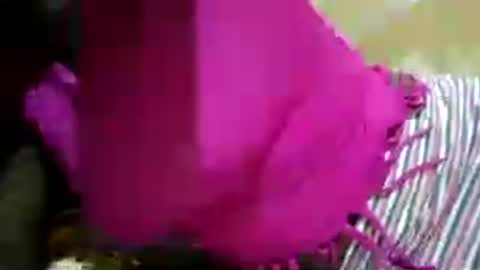 Snapshot of hairy_africanbae chatting on 12, 7, 2026 hairy_africanbae online show from 12, 7, 2026