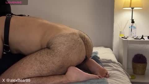 Snapshot of hairyarabbear chatting on 13, 9, 2025 hairyarabbear online show from 13, 9, 2025