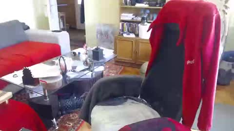 Snapshot of hairyass25yo chatting on 15, 2, 2025 Puppy3 StockyDaddiesmusclebearsbeefybigmans online show from 15, 2, 2025