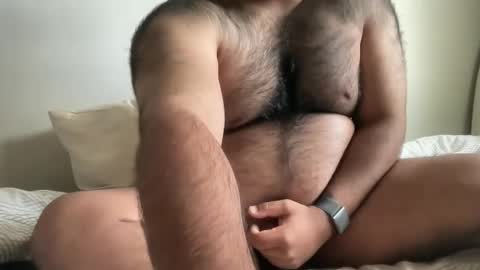 hairyaussie00 online show from 4, 12, 2024