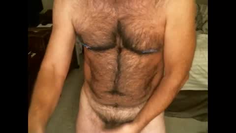 Hairy pecs online show from 20, 11, 2025