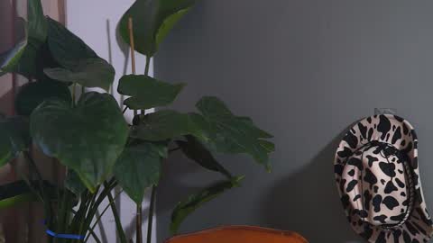 HairyRobXxX online show from 20, 9, 2025