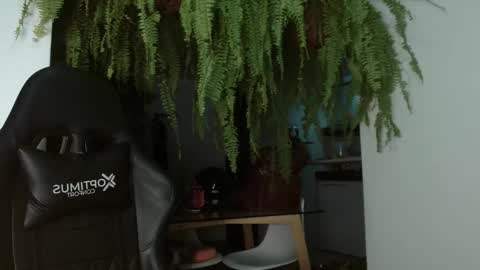 halan online show from 5, 3, 2025