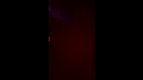 halfhorsefr online show from 10, 6, 2026