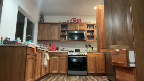 handieman_realtarzan online show from 12, 11, 2025