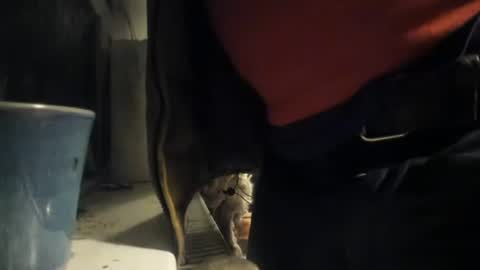 Snapshot of handncocknocum chatting on 8, 12, 2024 handncocknocum online show from 8, 12, 2024