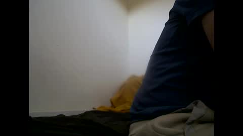 handsomepenis20cm online show from 29, 4, 2026