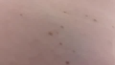 handsomerob42 online show from 18, 1, 2026