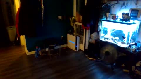 Snapshot of handsomerob42 chatting on 18, 5, 2026 handsomerob42 online show from 18, 5, 2026