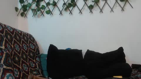 Snapshot of hannafalls chatting on 12, 1, 2025 SARA online show from 12, 1, 2025