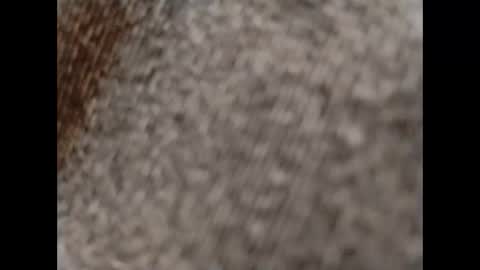 hardandhorny422 online show from 15, 10, 2025