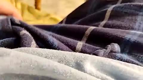 hardandhorny422 online show from 30, 11, 2025