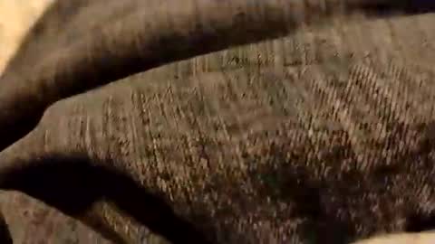 Snapshot of hardandhorny422 chatting on 5, 1, 2026 hardandhorny422 online show from 5, 1, 2026