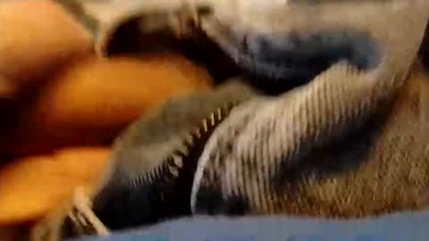 Snapshot of hardandhorny422 chatting on 15, 1, 2026 hardandhorny422 online show from 15, 1, 2026