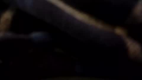 Snapshot of hardandhorny422 chatting on 9, 5, 2026 hardandhorny422 online show from 9, 5, 2026