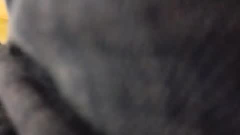 Snapshot of hardandhorny422 chatting on 10, 5, 2026 hardandhorny422 online show from 10, 5, 2026
