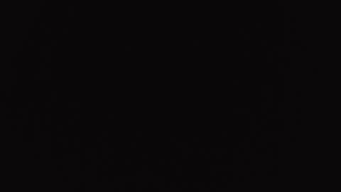 Snapshot of hardceltic4 chatting on 2, 12, 2025 hardceltic4 online show from 2, 12, 2025