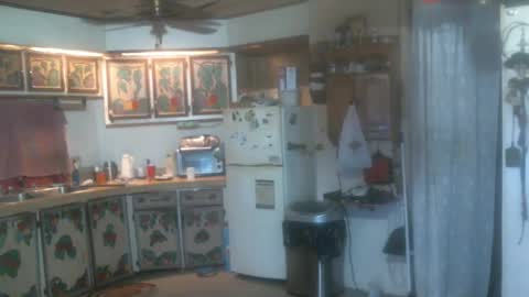 john nobles online show from 21, 12, 2024