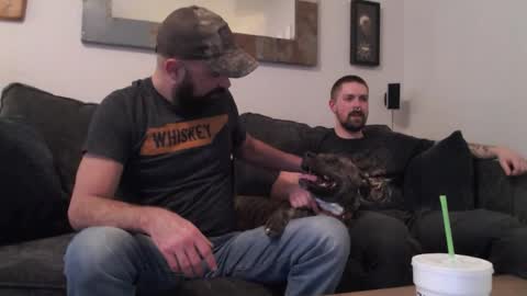 hardworkertn online show from 6, 4, 2026