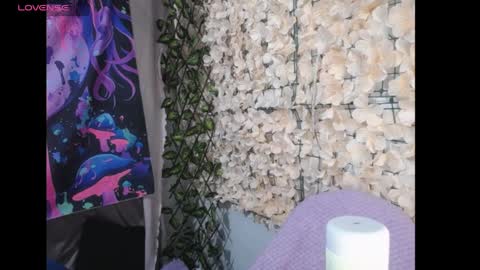 Harmonys World online show from 8, 4, 2026