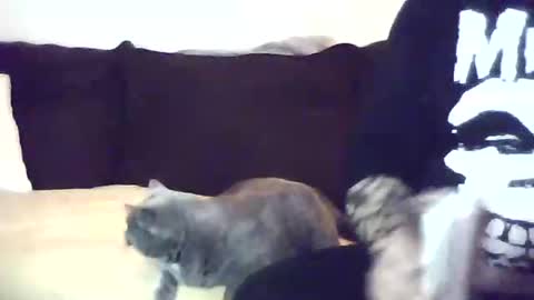 Snapshot of harry765765765 chatting on 1, 11, 2025 The Finesser online show from 1, 11, 2025