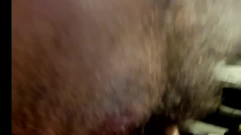 Snapshot of harry_banana chatting on 17, 1, 2025 harry_banana online show from 17, 1, 2025