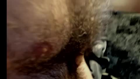 Snapshot of harry_banana chatting on 10, 2, 2025 harry_banana online show from 10, 2, 2025